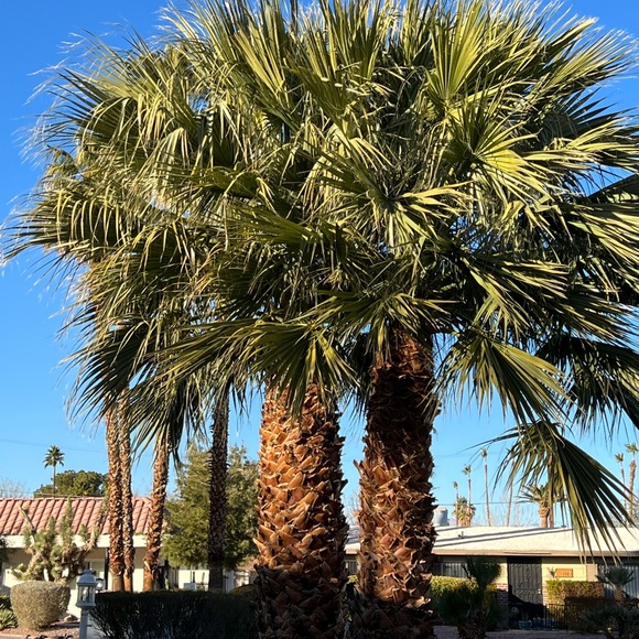 April 2022 - Profile Update… again! - Picture 5 of 5